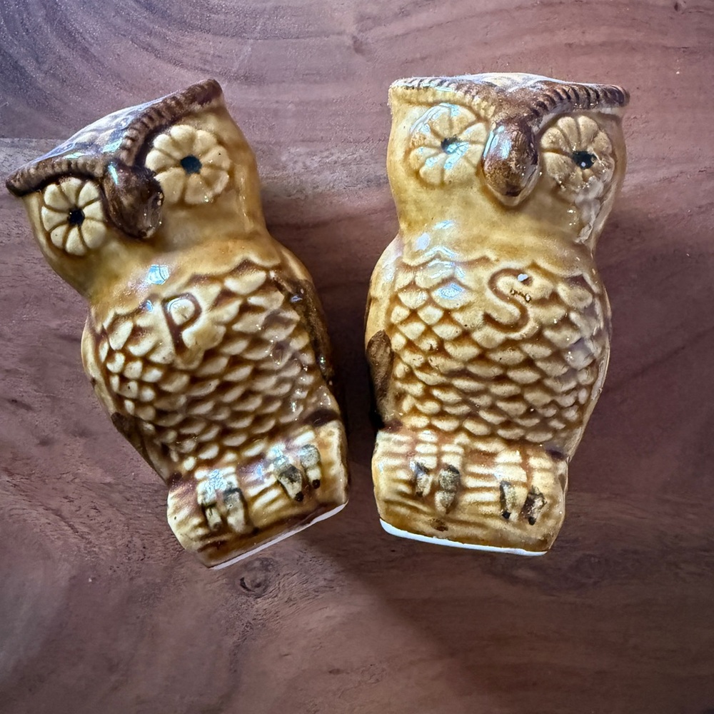 Vintage Owl Salt & Pepper Shakers - Mid Century